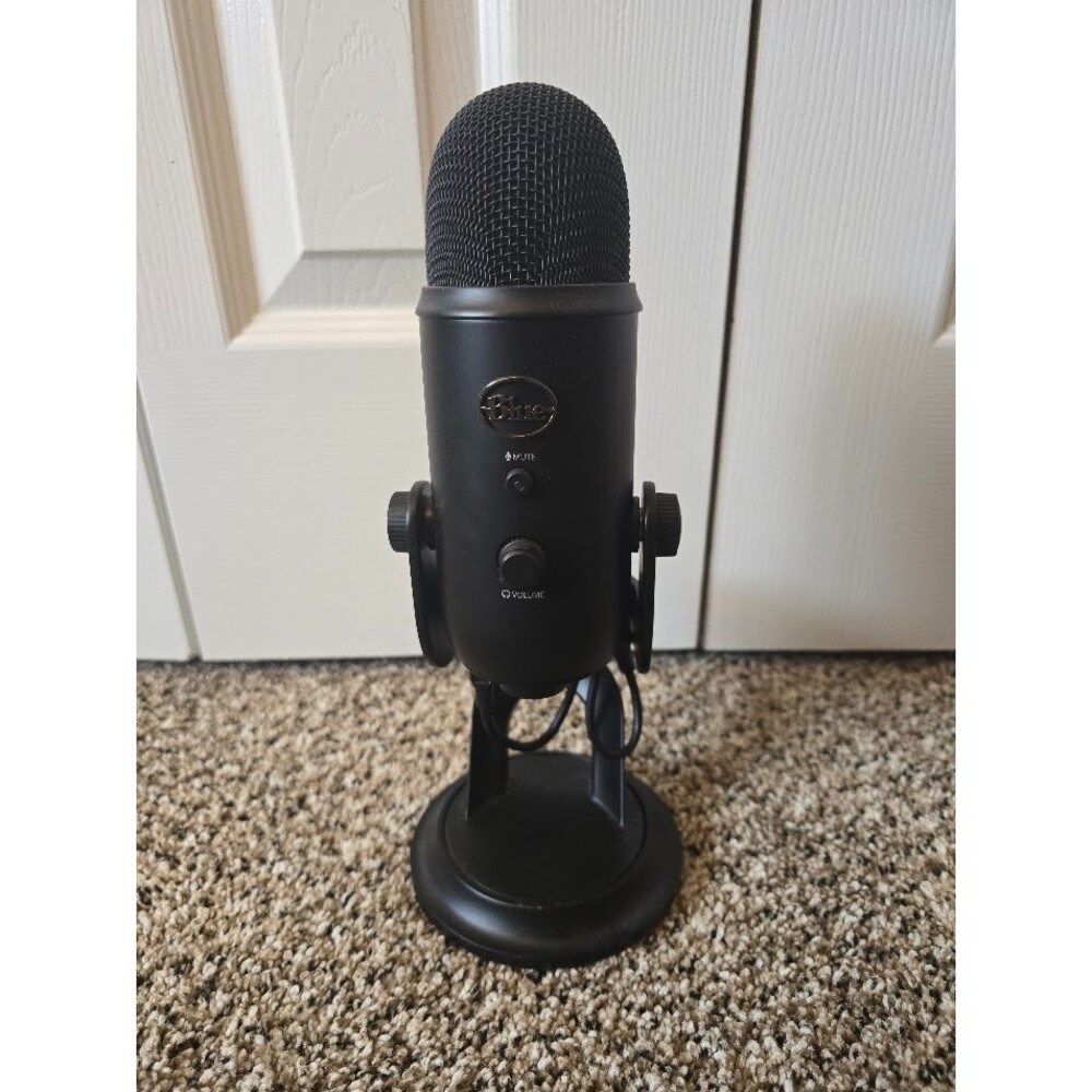 Blue Yeti Professional Multi-Pattern USB Condenser Microphone